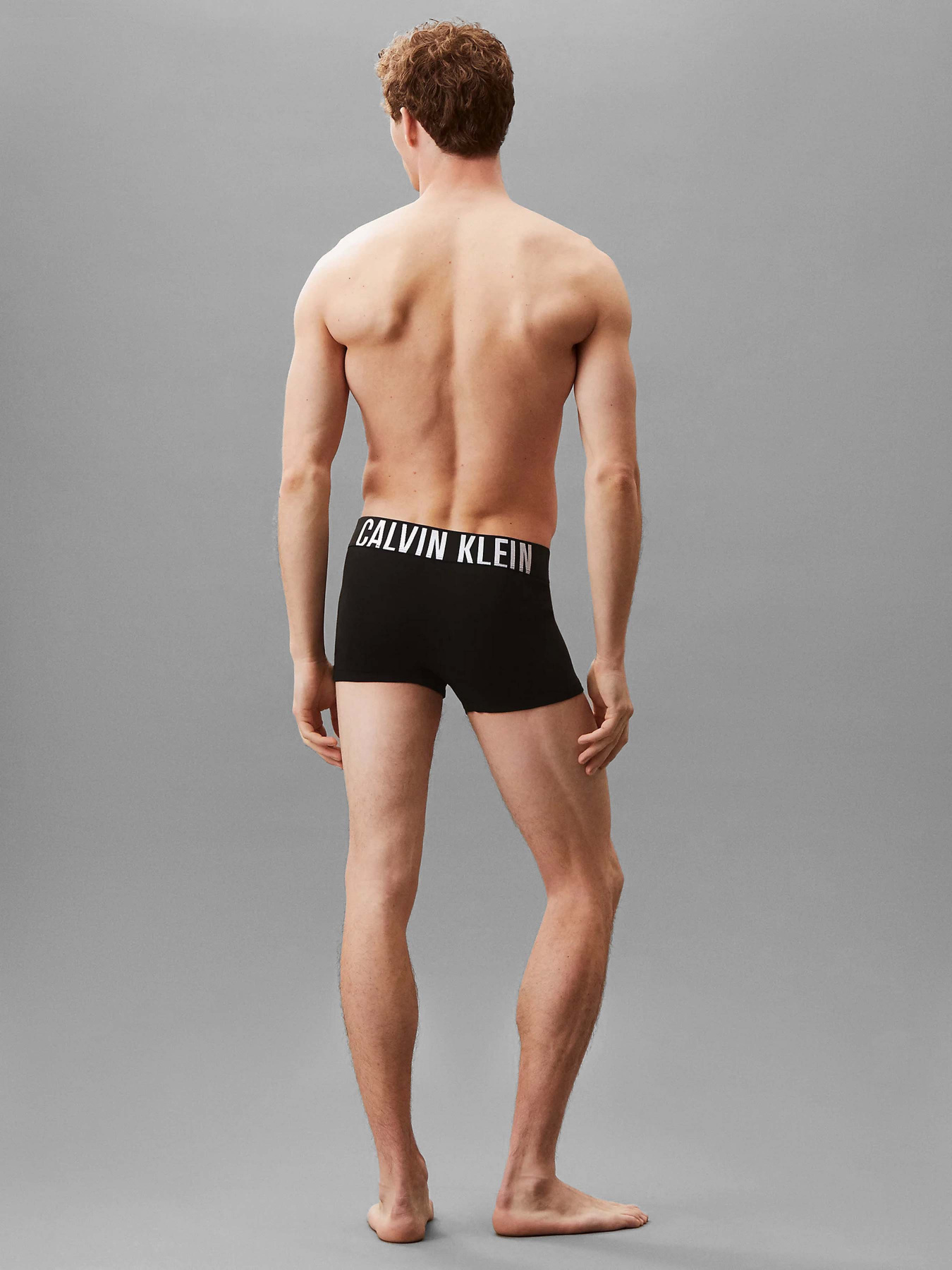 Нижнее белье Calvin Klein Underwear модель 000NB3608A-VVL Фото