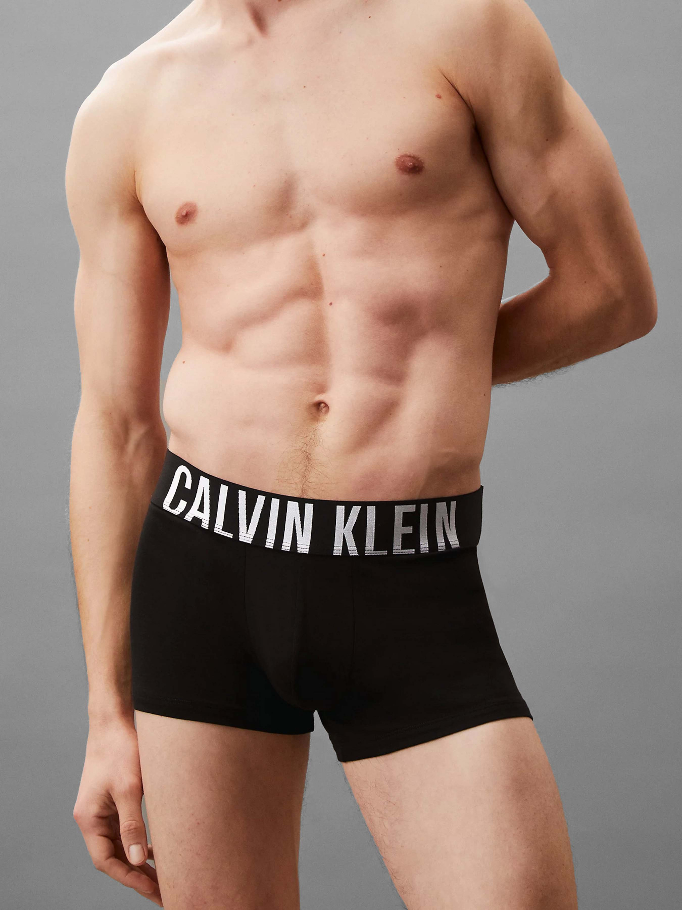 Нижнее белье Calvin Klein Underwear модель 000NB3608A-VVL Фото
