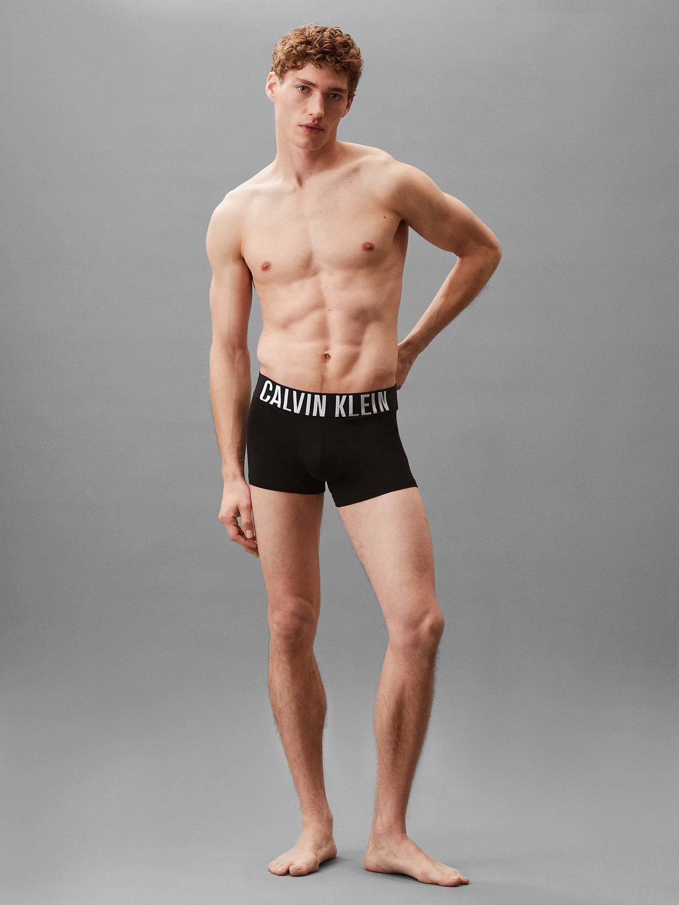 Нижнее белье Calvin Klein Underwear модель 000NB3608A-VVL Фото