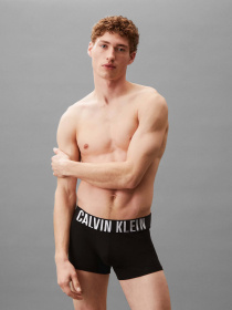 Нижнее белье Calvin Klein Underwear модель 000NB3608A-VVL Фото