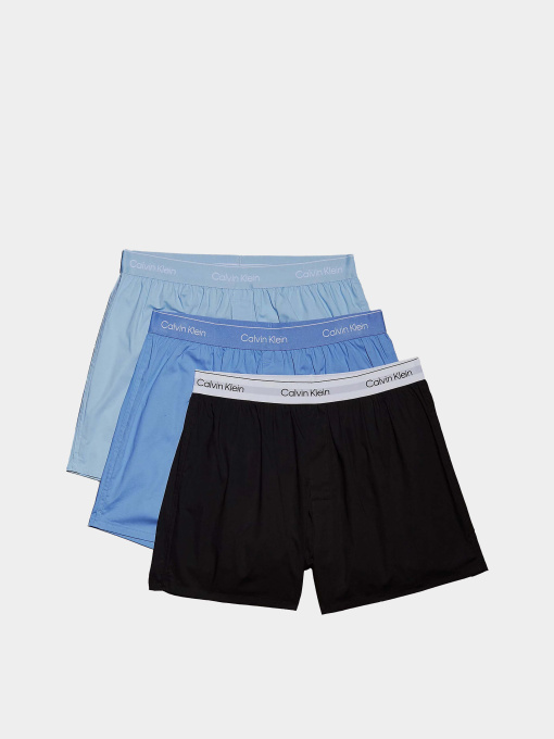 Нижнее белье Calvin Klein Underwear модель LV00NB4267-W8O Фото