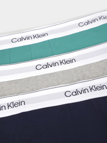 Нижнее белье Calvin Klein Underwear модель LV00NB4392-VR1 Фото