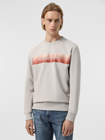 Худи и свитшоты Calvin Klein модель K10K114263-PBQ Фото