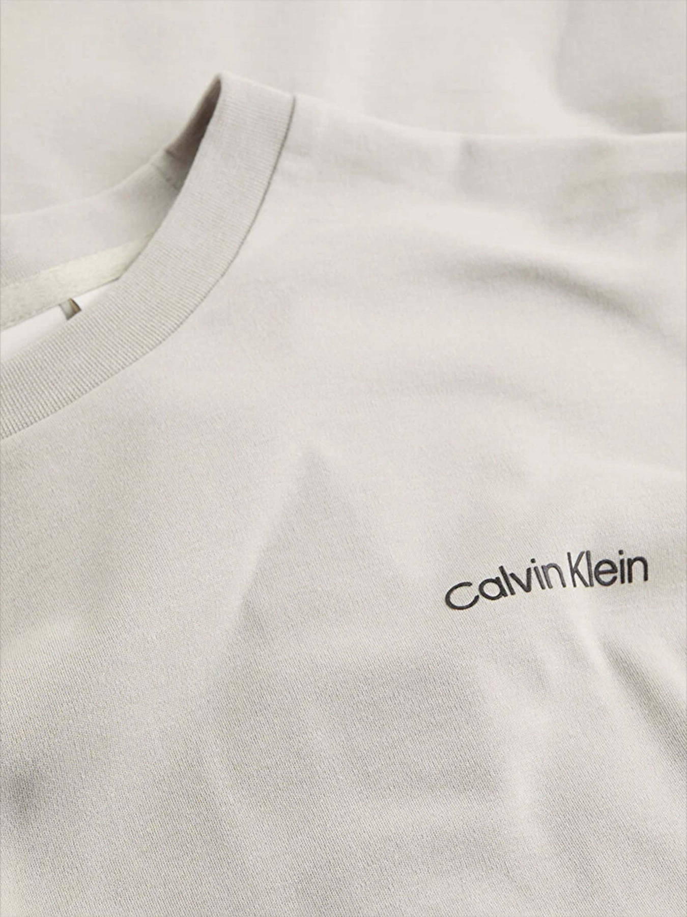 Футболки і поло Calvin Klein модель K10K109894-PBQ Фото