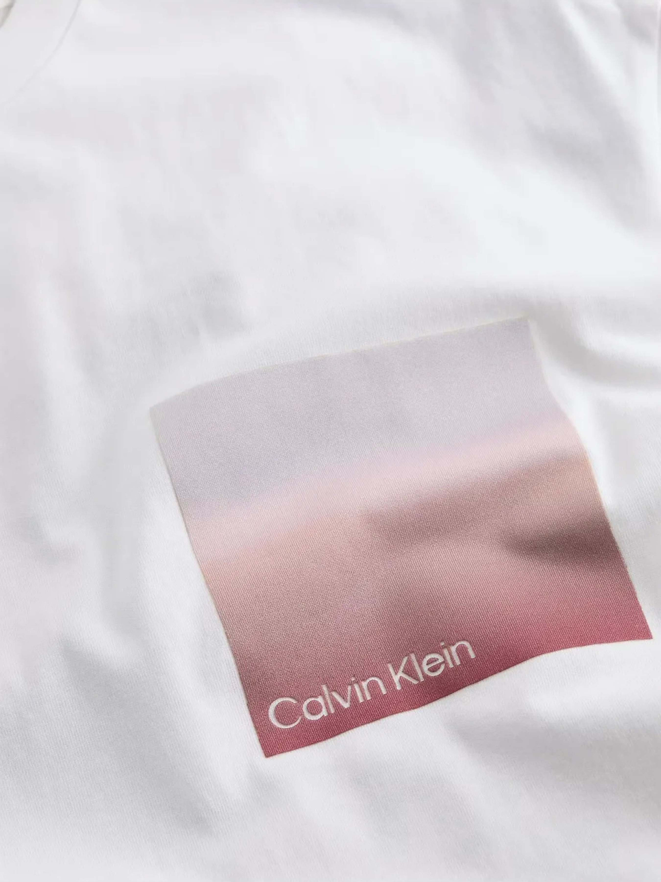 Футболки і поло Calvin Klein модель K10K114164-YAF Футболки і поло Calvin Klein модель K10K114164-YAF Фото