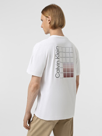 Футболки і поло Calvin Klein модель K10K114164-YAF Фото