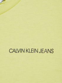 Футболки і поло Calvin Klein Chest Logo модель IB0IB00456-ZJB Фото