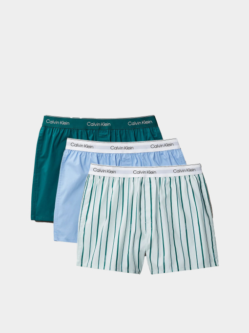 Нижнее белье Calvin Klein Underwear модель LV00NB4267-0AC Фото