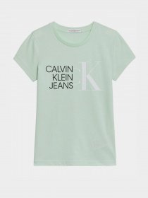Футболки і поло Calvin Klein модель IG0IG00888-LZY Фото