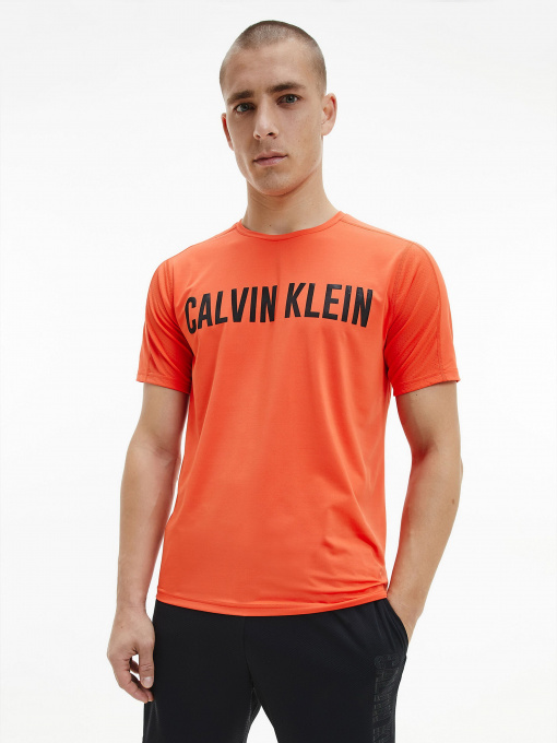 Футболки і поло Calvin Klein модель 00GMF0K150-610 Фото