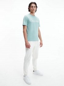 Кеды Calvin Klein модель HM0HM00479-YAF Фото