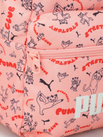 Рюкзаки PUMA PHASE SMALL 13L модель 09132402 Фото
