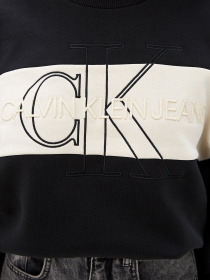 Свитры и кардиганы Calvin Klein Jeans модель J20J216448_BEH Фото