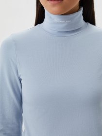 Свитры и кардиганы Calvin Klein Jeans Micro Branding Ls Roll Neck модель J20J216784_C1U Фото