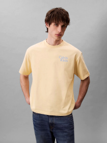 Футболки и поло Calvin Klein Jeans модель LV04RC808G-RM9 Фото