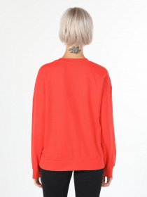 Худи и свитшоты Colin’s модель CL1060318BOR Фото
