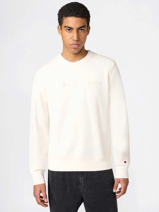 Худи и свитшоты Champion модель 220784-YS084 Фото