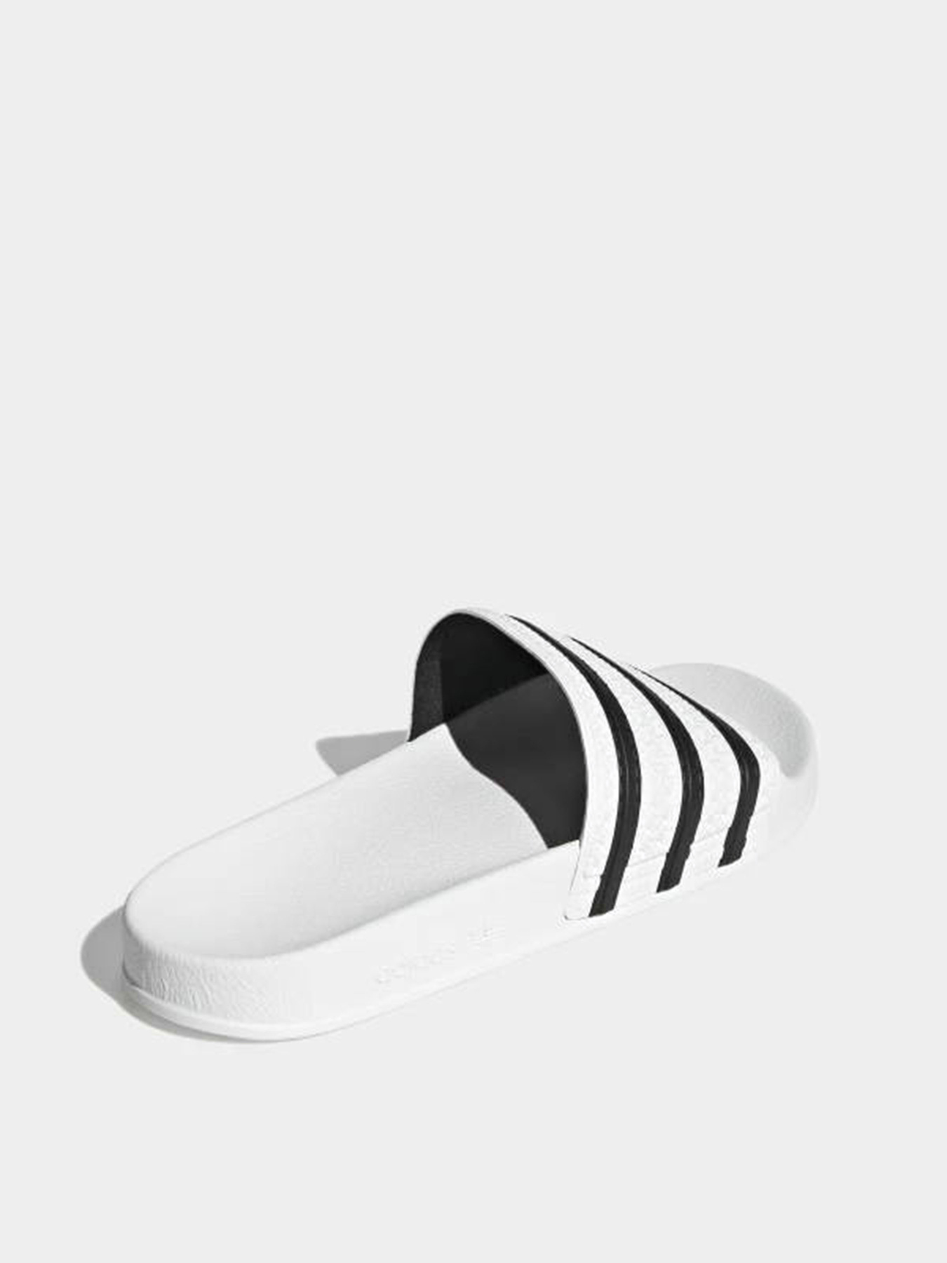 Шлёпанцы Adidas модель 280648 Шлёпанцы Adidas модель 280648 Фото