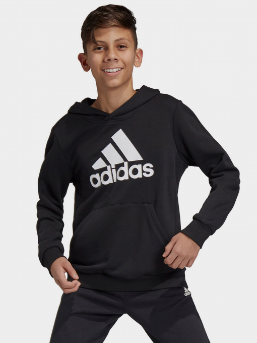Худи и свитшоты Adidas Essentials Performance модель GN4027 Фото