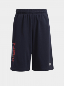 Шорти Adidas ARKD3 модель H59759 Фото
