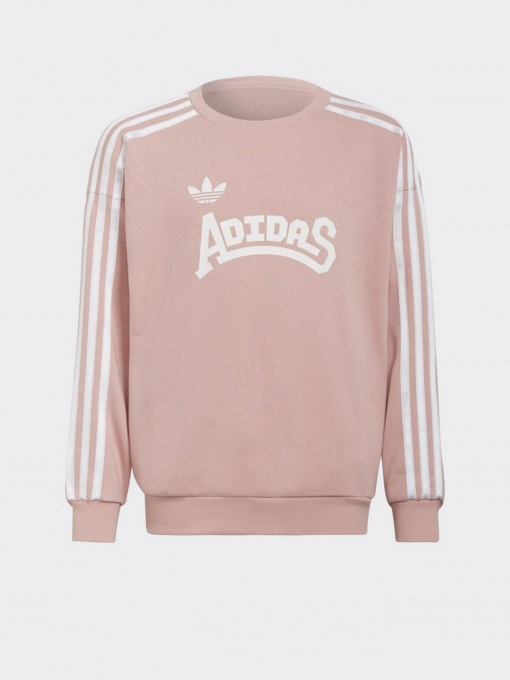 Худи и свитшоты Adidas Graphic Originals модель HC4559 Фото