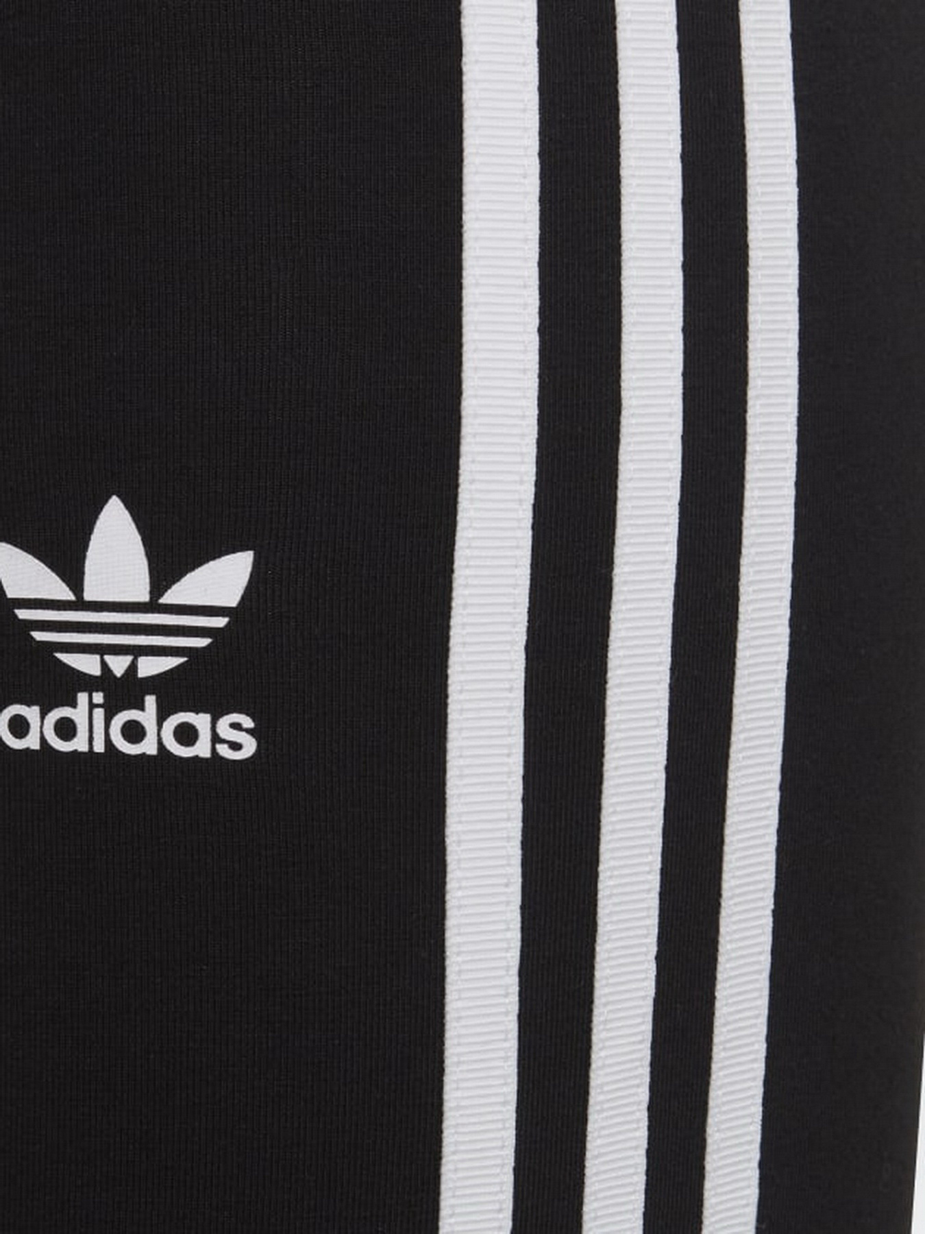 Брюки Adidas Adicolor модель HD2025 Фото