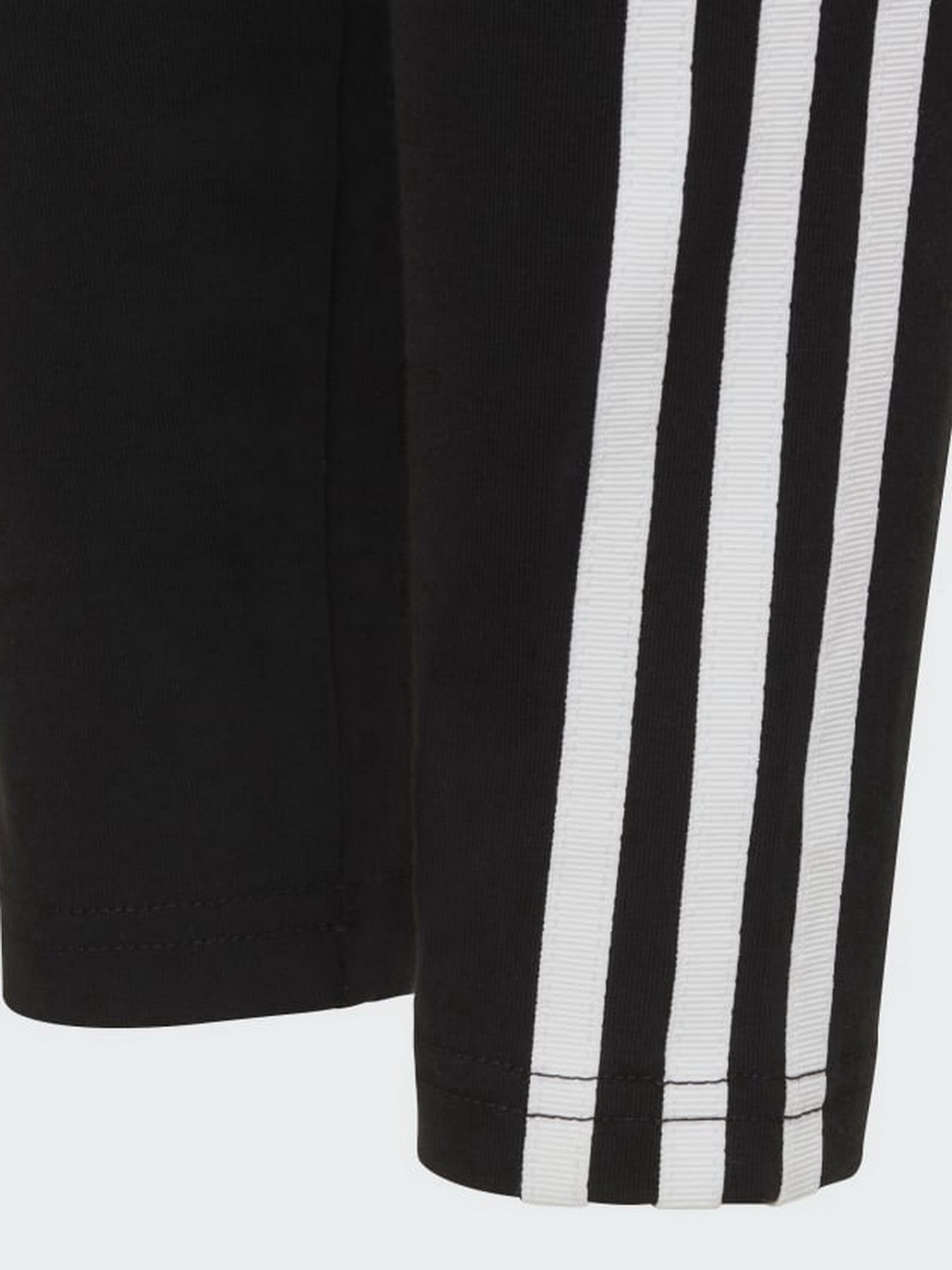 Брюки Adidas Adicolor модель HD2025 Фото