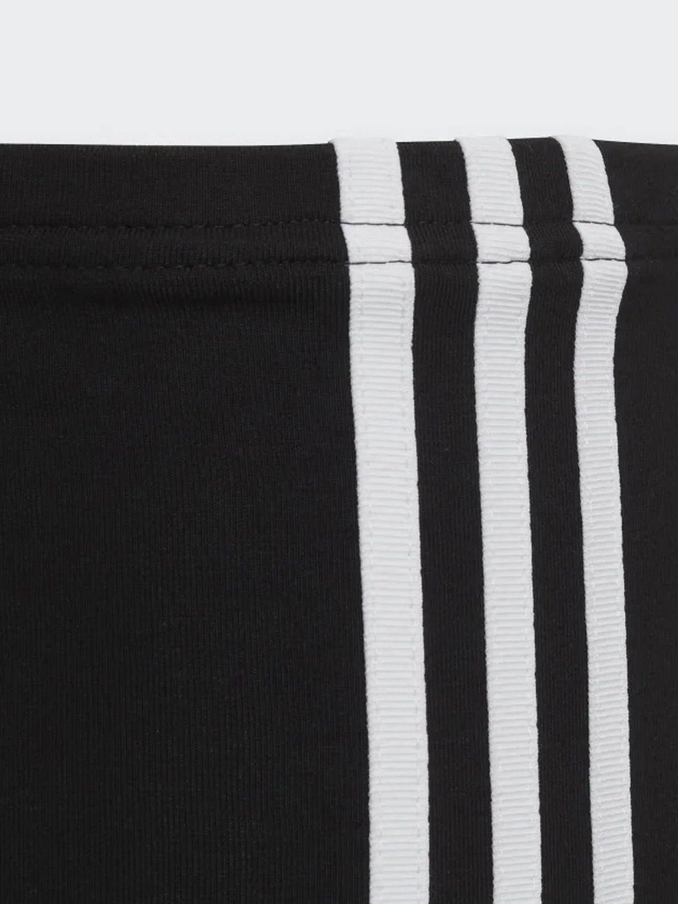 Брюки Adidas Adicolor модель HD2025 Фото