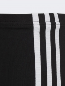 Брюки Adidas Adicolor модель HD2025 Фото