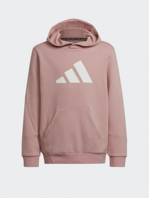 Худи и свитшоты Adidas Future Icons 3-Stripes модель HE1923 Фото