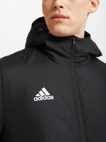 Куртки та дублянки Adidas Winter 18 Performance модель BQ6602 Фото