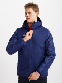 Куртки та дублянки Adidas Winter 18 Performance модель CV8271 Фото