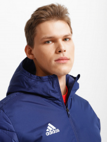 Куртки та дублянки Adidas Winter 18 Performance модель CV8271 Фото