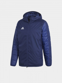 Куртки та дублянки Adidas Winter 18 Performance модель CV8271 Фото