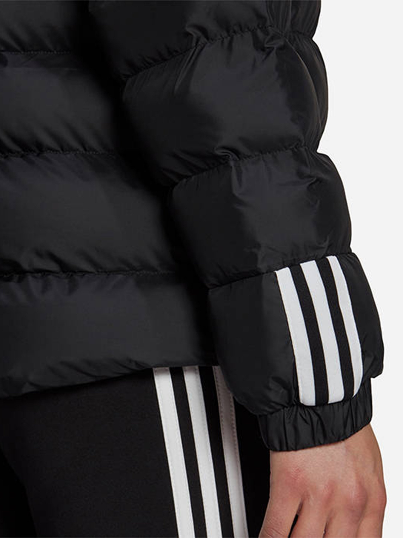 Куртки та дублянки Adidas Itavic 3-Stripes модель GT1710 Фото