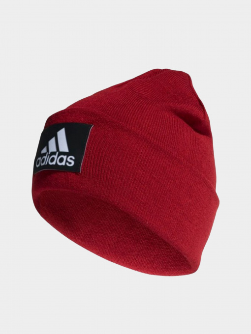 Шапки и кепки Adidas модель DZ8931 Фото