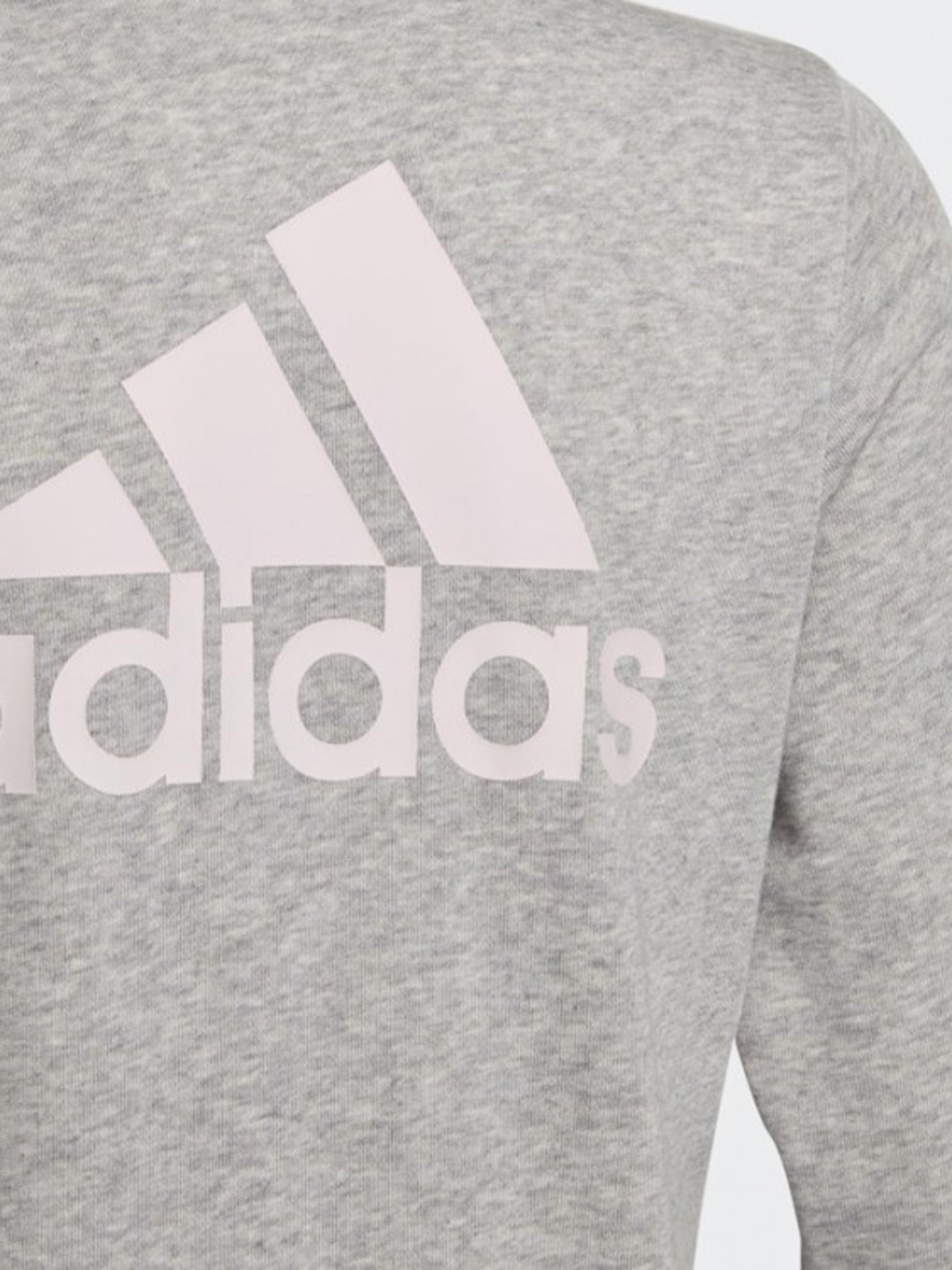 Худі та світшоти Adidas Essentials модель GS2172 Фото