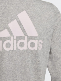 Худі та світшоти Adidas Essentials модель GS2172 Фото