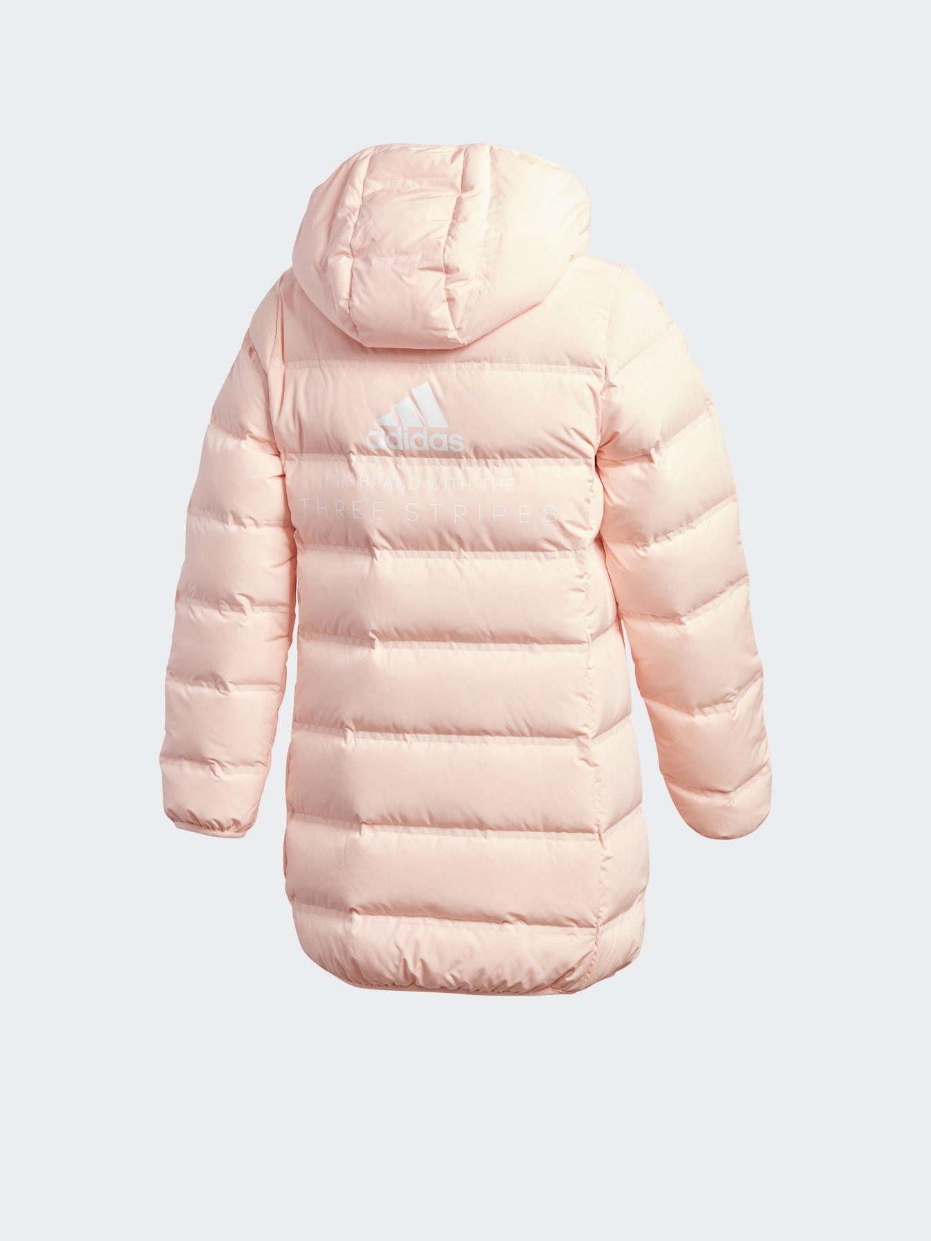 Куртки та дублянки Adidas Down Coat модель GG3704 Фото