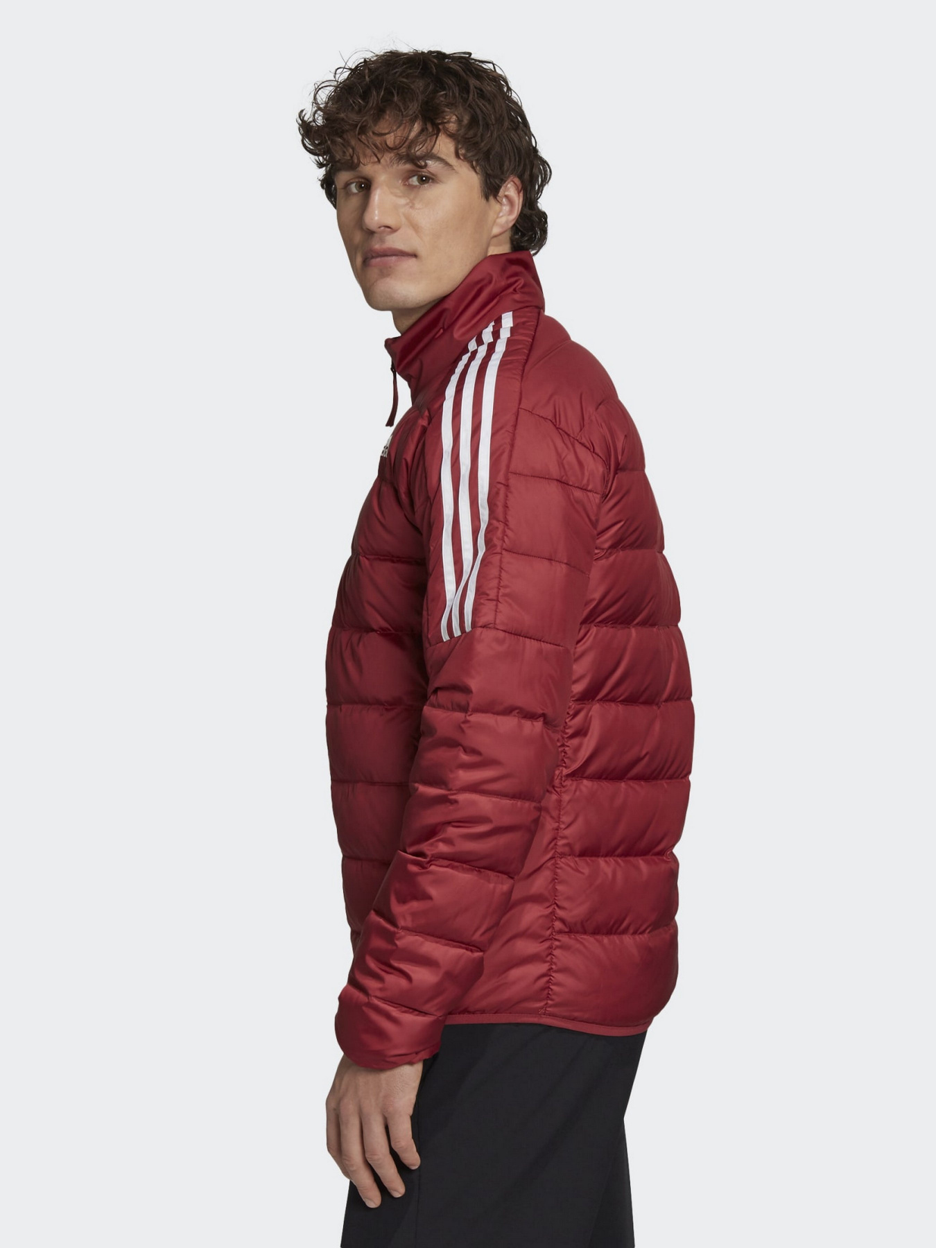 Куртки и дубленки Adidas ESSENTIALS модель GH4595 Куртки и дубленки Adidas ESSENTIALS модель GH4595 Фото