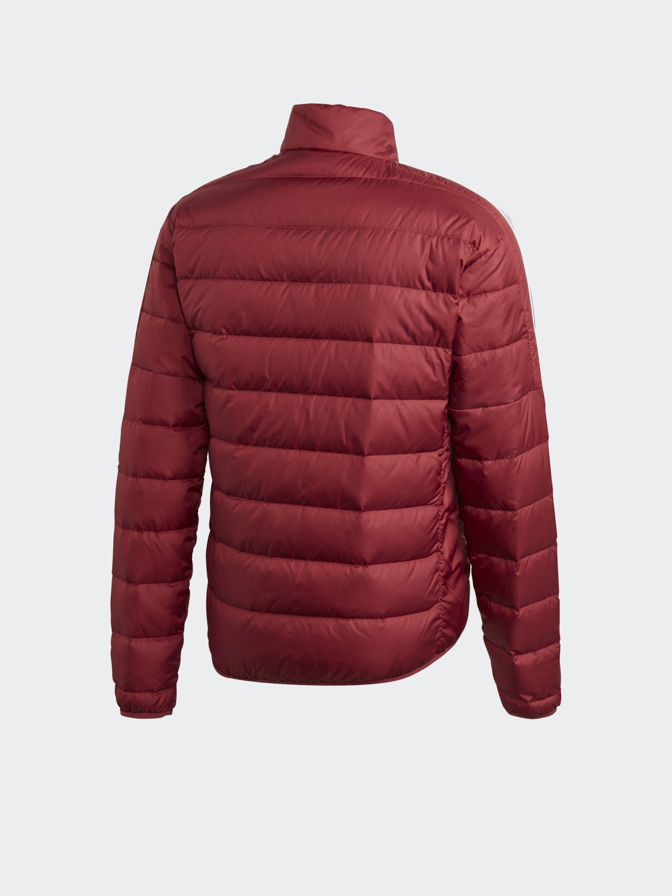 Куртки и дубленки Adidas ESSENTIALS модель GH4595 Куртки и дубленки Adidas ESSENTIALS модель GH4595 Фото