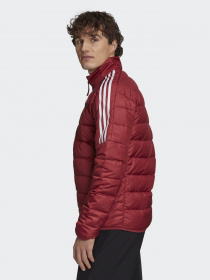 Куртки и дубленки Adidas ESSENTIALS модель GH4595 Фото