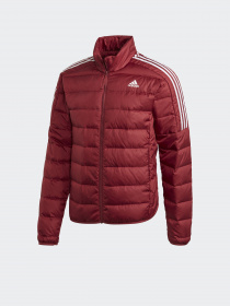 Куртки и дубленки Adidas ESSENTIALS модель GH4595 Фото