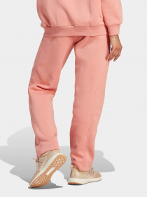 Брюки Adidas All SZN Fleece Graphic модель IL3239 Фото