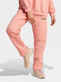 Брюки Adidas All SZN Fleece Graphic модель IL3239 Фото