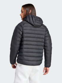 Куртки та дублянки Adidas Padded Hooded Puffer Originals модель IL2563 Фото