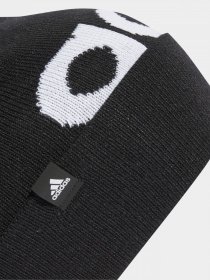 Шапки та кепки Adidas Pompom Beanie модель IB2654 Фото