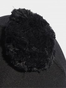 Шапки та кепки Adidas Pompom Beanie модель IB2654 Фото
