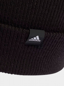 Шапки та кепки Adidas 2-Color Logo модель IB3236 Фото