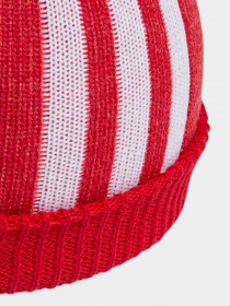 Шапки та кепки Adidas Adicolor Cuff Knit модель IL4883 Фото